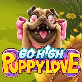 Go High Puppy Love casino game by RubyPlay – featured logo at Spinstein Casino